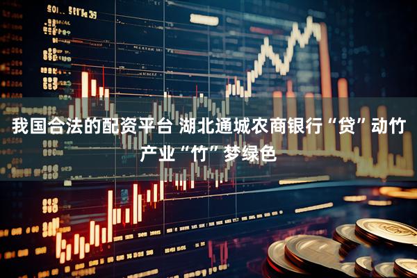 我国合法的配资平台 湖北通城农商银行“贷”动竹产业“竹”梦绿色
